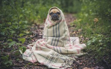 Cold Weather Idioms: สำนวนภาษาอังกฤษเกี่ยวกับอากาศหนาว