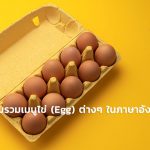 egg