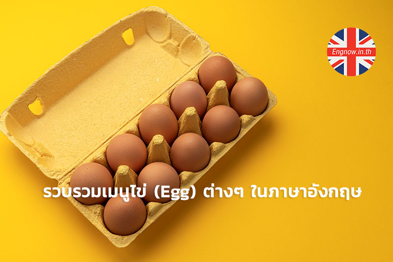 รวบรวมเมนูไข่ (Egg) ต่างๆ ในภาษาอังกฤษ - Engnow.In.Th เรียนภาษาอังกฤษออนไลน์