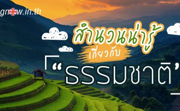 สำนวนน่ารู้เกี่ยวกับธรรมชาติ idioms about nature