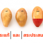 สะระภาษาอังกฤษ