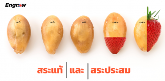 สระแท้ และ สระประสม..