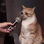 reaccion-reaction-sad-Favim.com-7608599
