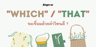 จะเชื่อมด้วย “which” หรือ “that” ดีล่ะ
