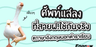 ศัพท์แสลงที่สายฝอใช้กันจริง #ภาษาอังกฤษนอกตำราเรียน slang-all-the-time/