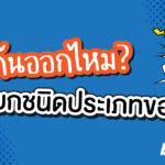 article-แยกชนิดคำ