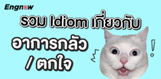 รวม idiom เกี่ยวกับอาการกลัว/ตื่นตกใจ ในภาษาอังกฤษ idiom about fear/panic.