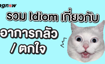 รวม idiom เกี่ยวกับอาการกลัว/ตื่นตกใจ ในภาษาอังกฤษ idiom about fear/panic.