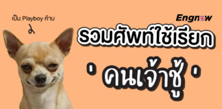 รวมศัพท์ใช้เรียกคนเจ้าชู้ ในภาษาอังกฤษ Playboy Synonyms & Antonyms