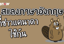 สแลงที่ชาวแคนาดาใช้กัน แต่ประเทศอื่นมี “งง” Canadian Slang Words You Need to Know